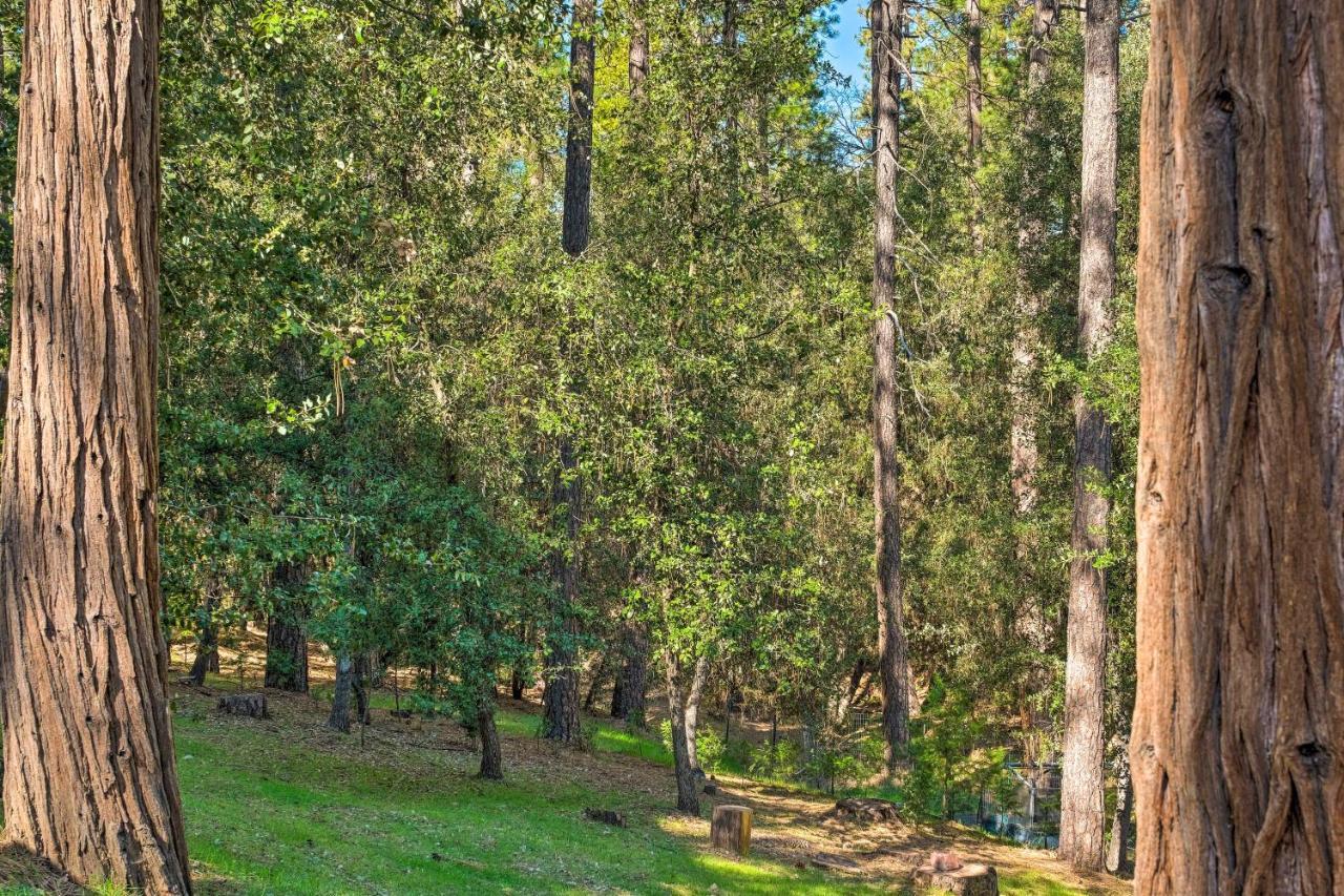 Convenient With Fire Pit About Half-mi To Lake! Apartment Groveland